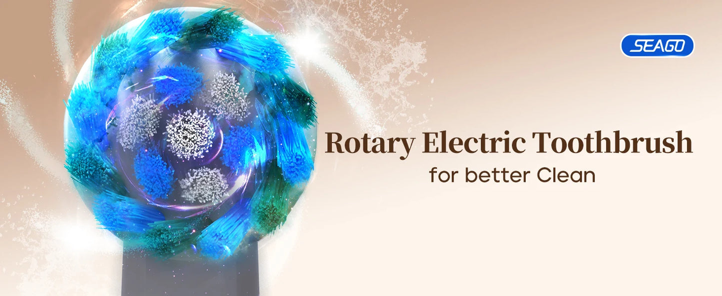 Electric Rechargeable Toothbrush